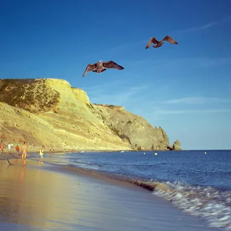 A12 - Da Luz Center アパート Alagoas